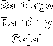 Santiago
Ramn y
Cajal